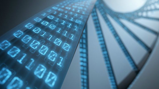 區(qū)塊鏈技術(shù)將如何改變我們的生活？